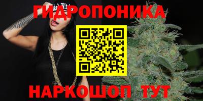 a pvp Волжск